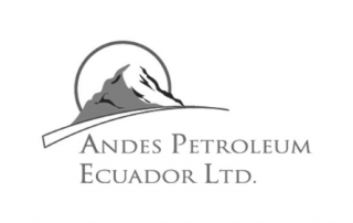 Andes Petroleum logo bw 320x202 1