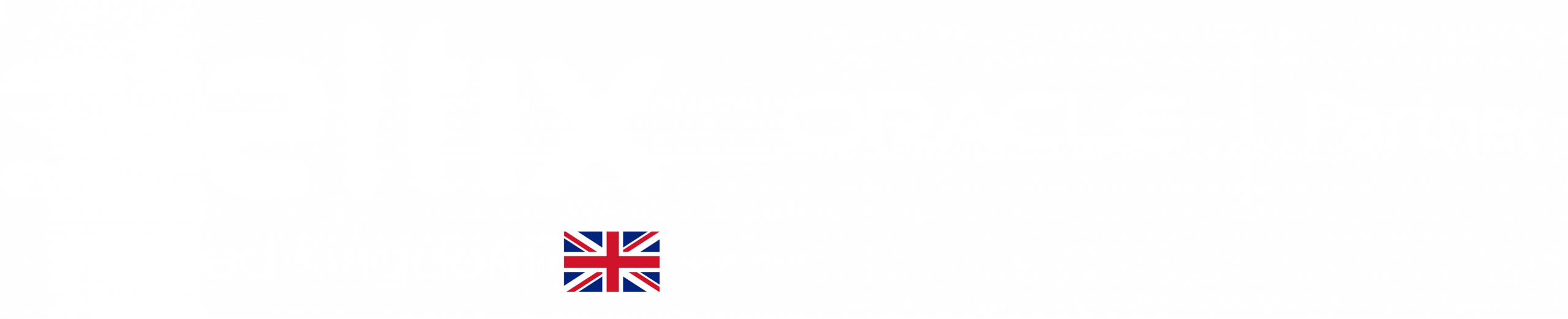 Steltix UK Oracle partner logo scaled